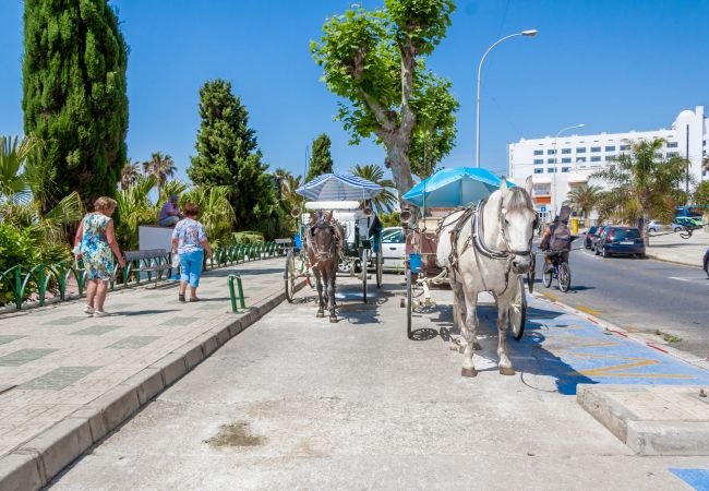 Residencial en Nerja - Stella Maris Nerja (2060)