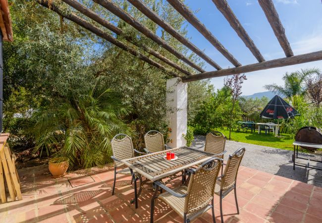 Terraza de esta casa con chimenea en Alhaurín el grande