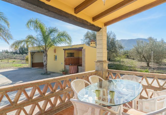 Terraza de esta finca en Alhaurín el Grande