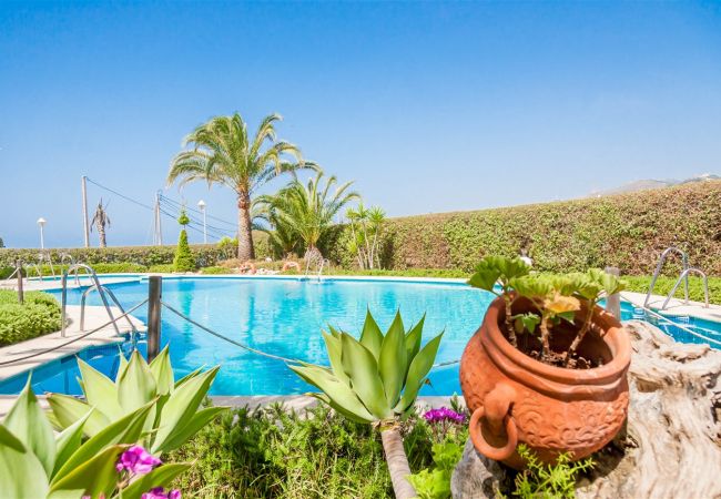 Apartamento en Nerja - .Stella Maris (3208) - 2 dormitorios Nerja