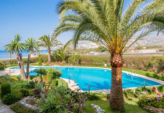 Apartamento en Nerja - .Stella Maris (3208) - 2 dormitorios Nerja