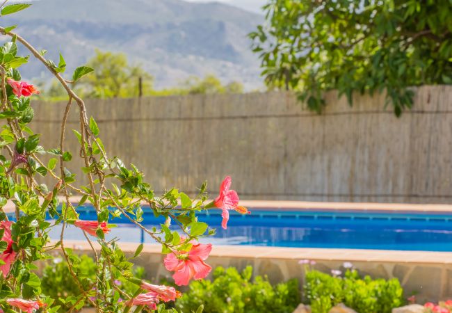 Casa rural en Alhaurín el Grande - Cubo's Finca el Cortijito de Herrera