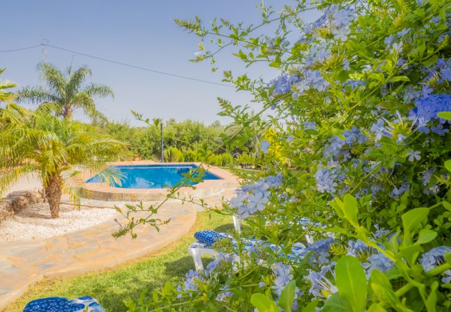 Casa rural en Alhaurín el Grande - Cubo's Finca el Cortijito de Herrera