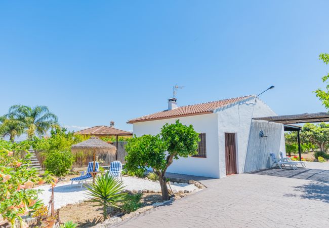 Terraza de esta Finca en Alhaurín el Grande