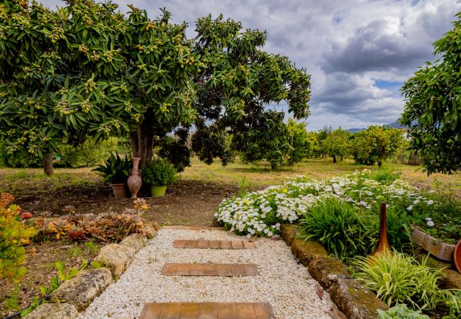 Casa rural en Alhaurín el Grande - Cubo's Finca Pati