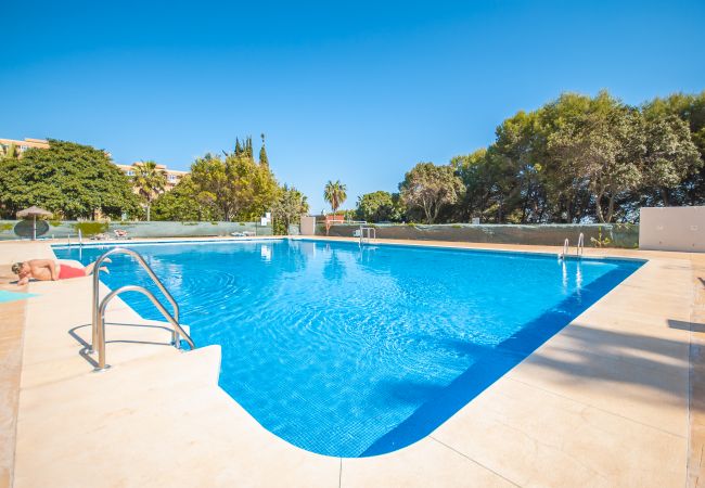 Piscina comunitaria de este apartamento en Benalmádena