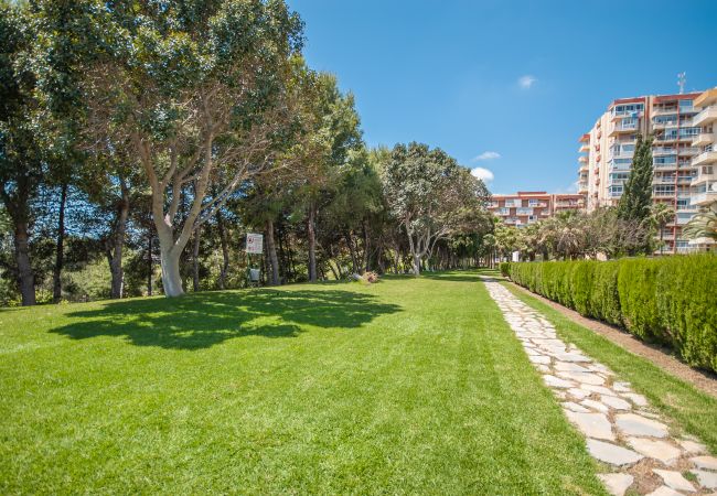 Jardín de este apartamento en Benalmádena