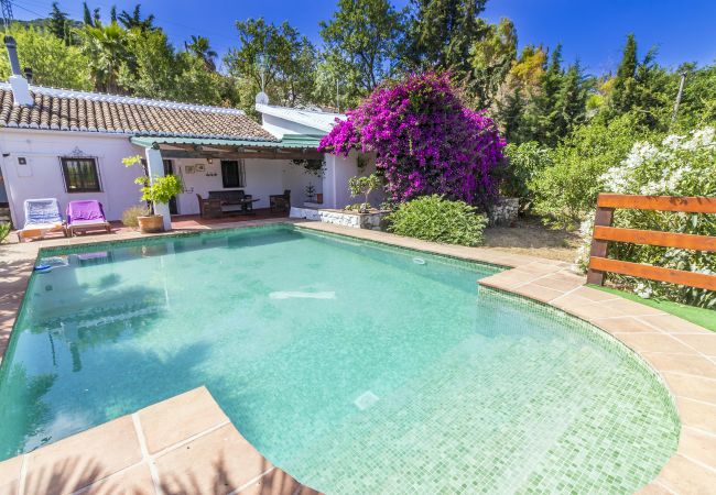 Piscina de esta casa rural en Alhaurín el Grande