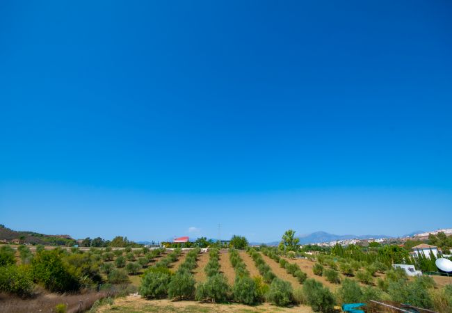 Vistas de esta Finca en Alhaurín el Grande