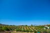 Vistas de esta Finca en Alhaurín el Grande