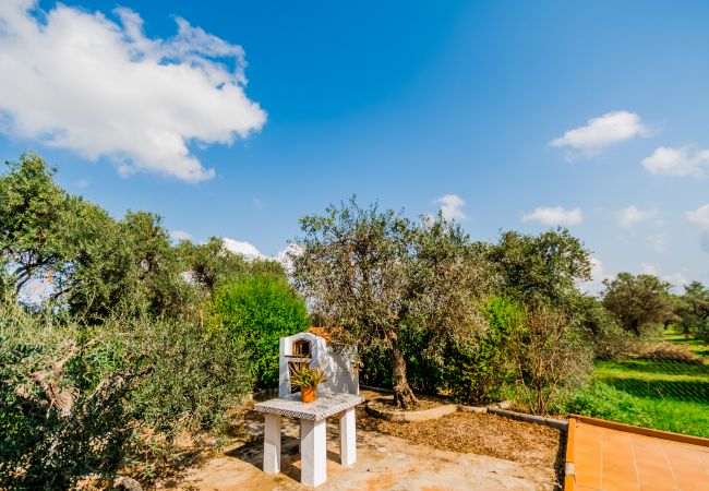 Jardín de esta villa en Alhaurín el Grande