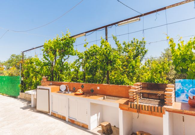 Barbacoa de esta finca en Alhaurín el Grande