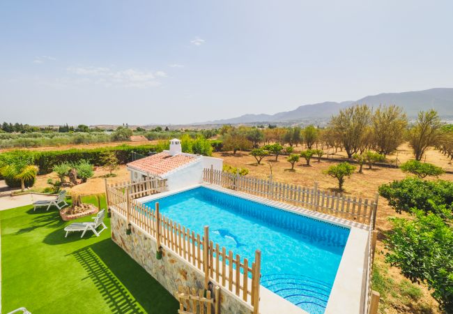 Vistas de la Piscina en esta Finca de Alhaurín el Grande