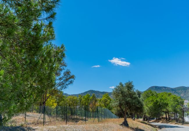 Alrededores de esta casa rural en la Estación de Cártama
