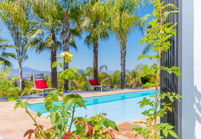 Casa rural en Alhaurín el Grande - Cubo's Finca El Balneario