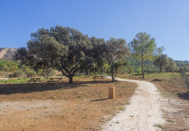 Casa rural en Alhaurín el Grande - Cubo's Finca El Balneario