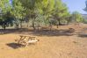 Casa rural en Alhaurín el Grande - Cubo's Finca El Balneario