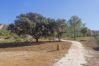 Casa rural en Alhaurín el Grande - Cubo's Finca El Balneario