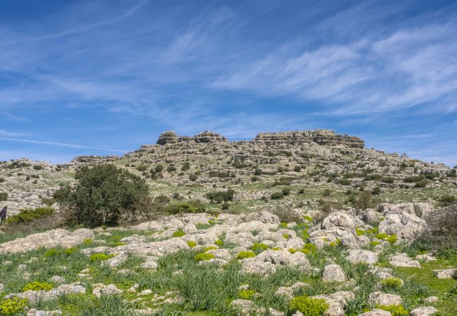 Casa rural en Villanueva de la Concepción - Cubo's Casa El Torcal