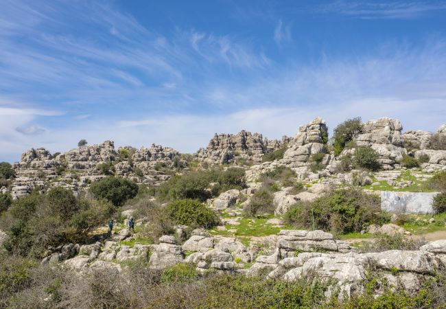 Casa rural en Villanueva de la Concepción - Cubo's Casa El Torcal