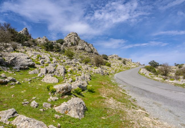 Casa rural en Villanueva de la Concepción - Cubo's Casa El Torcal