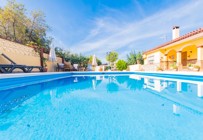 Piscina privada de esta Finca en Alhaurín de la Torre