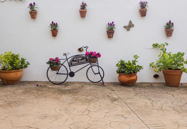 Casa rural en Alhaurín el Grande - Cubo's Finca La Deseada