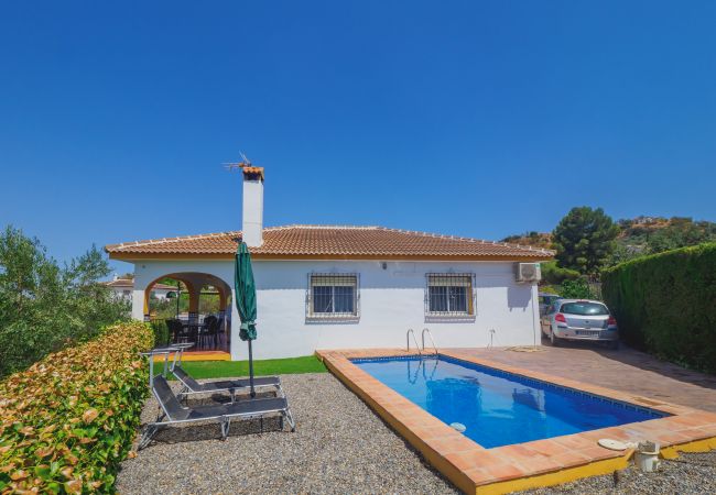 Piscina y exteriores de la casa 