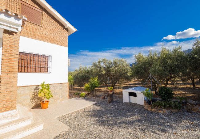 Casa rural en Alhaurín el Grande - Cubo's Villa Ainhoa
