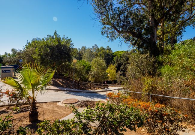 Apartamento en Mijas Costa - Cubo's Luna Beach Mijas Costa