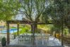 Casa rural en Archidona  - Cubo's Cortijo El Perezon