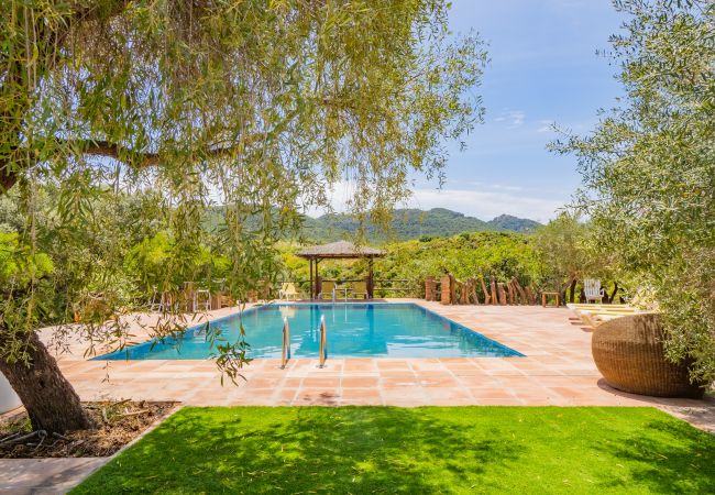 Casa rural en Coín - Cubo's Coin Pure Nature High Privacy