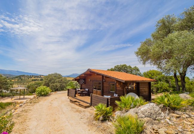 Casa rural en Coín - Cubo's Coin Pure Nature High Privacy