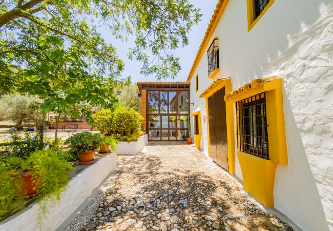 Casa rural en Cártama - Cubo's Cortijo La Palmera