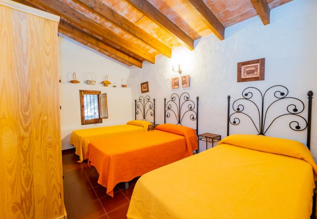 Casa rural en Cártama - Cubo's Cortijo La Palmera