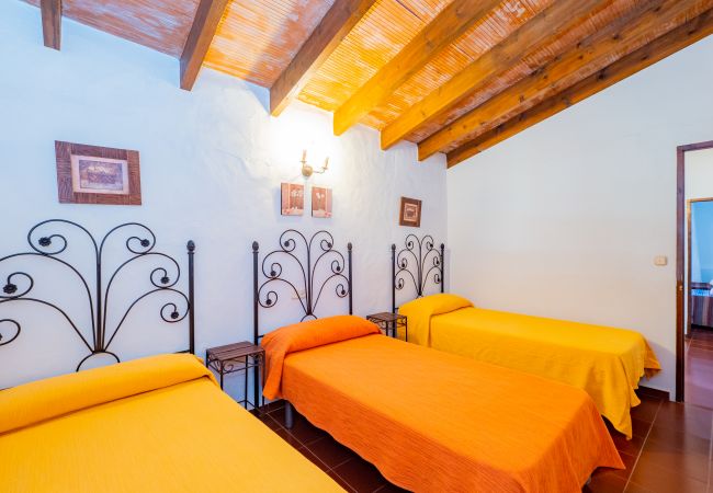 Casa rural en Cártama - Cubo's Cortijo La Palmera