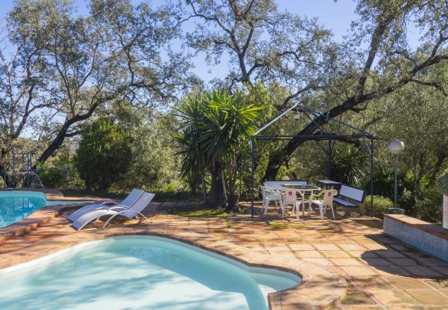 Casa rural en Guillena - Cubo's Quinta de los Cisnes & minigolf included
