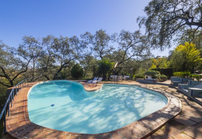 Casa rural en Guillena - Cubo's Quinta de los Cisnes & minigolf included