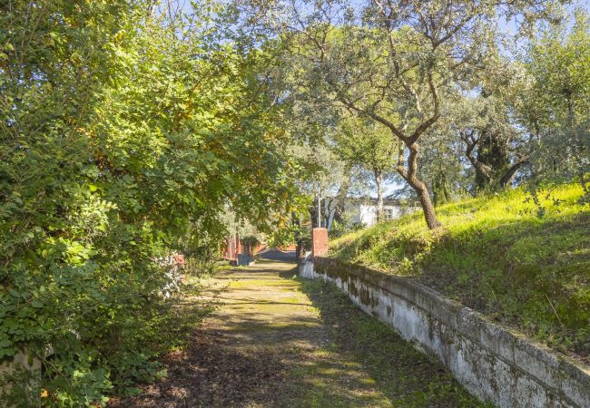 Casa rural en Guillena - Cubo's Quinta de los Cisnes & minigolf included
