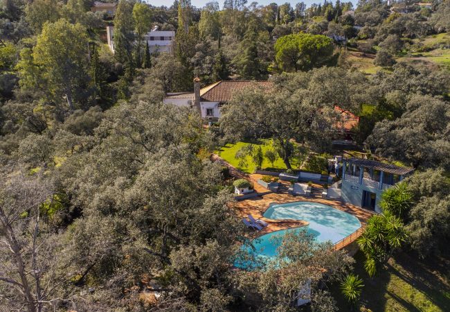 Casa rural en Guillena - Cubo's Quinta de los Cisnes & minigolf included