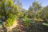 Casa rural en Guillena - Cubo's Quinta de los Cisnes & minigolf included