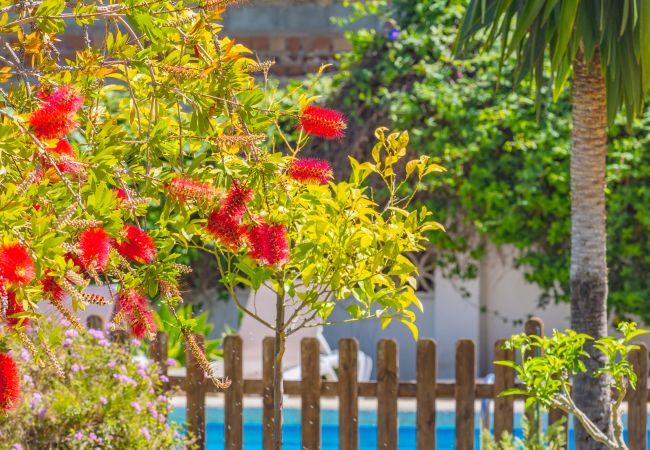 Casa rural en Alhaurin de la Torre - Cubo's Pink Townhouse Los Manantiales