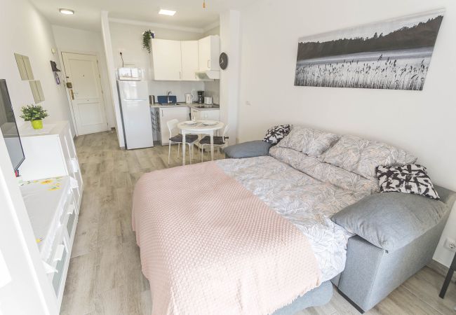 Estudio en Nerja - .Estudio Corona Nerja 410
