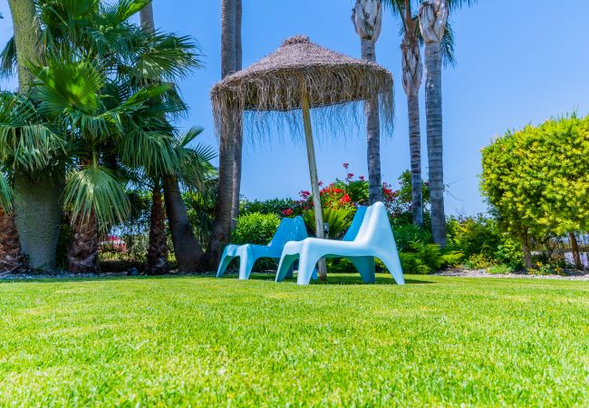 Garden of this villa in Alhaurín de la Torre