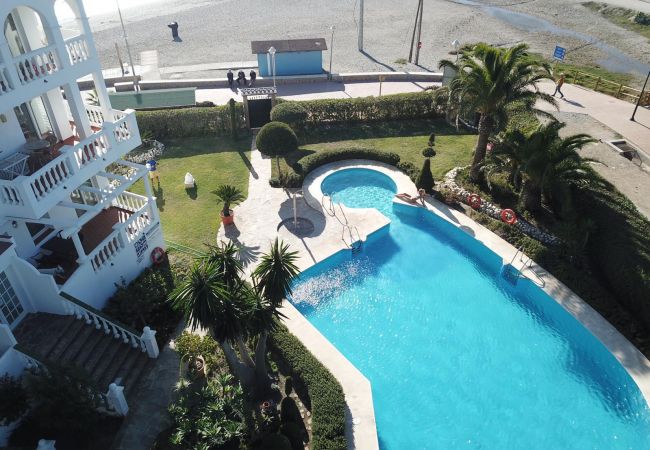 Residence in Nerja - Stella Maris Nerja (1292)