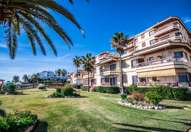 Garden of this apartment in Mijas Costa