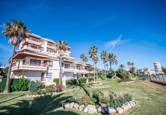 Garden of this apartment in Mijas Costa