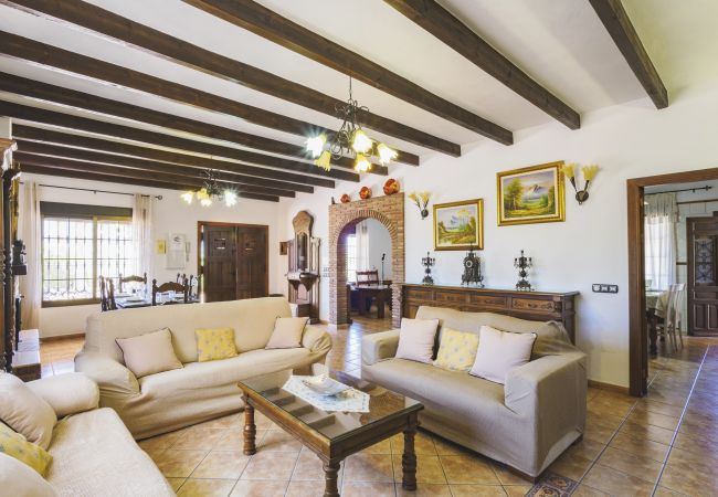 Villa in Alhaurín el Grande - Cubo's Villa Los Javieles