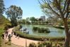 Garden of this apartment in Benalmádena