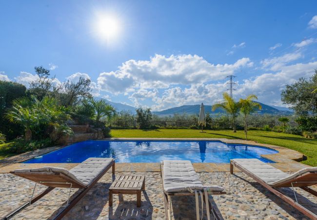 Villa in Alhaurín el Grande - Cubo's Villa Cortijo la Indiana